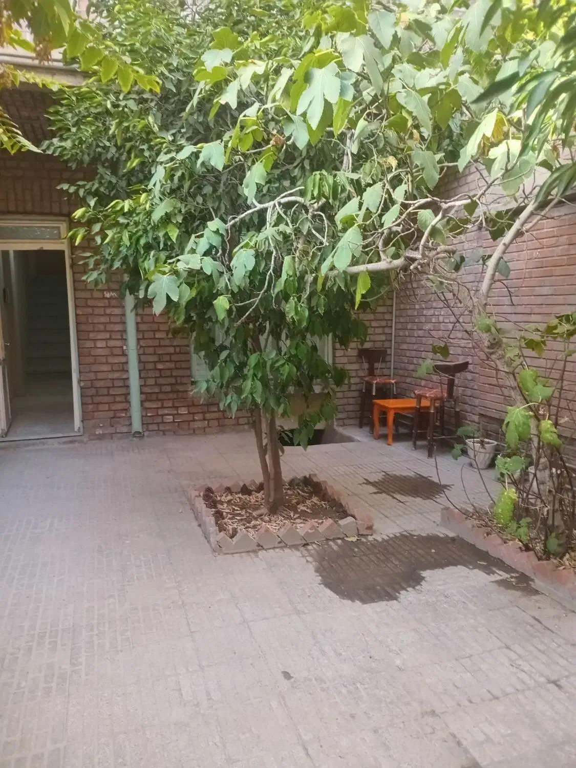پیروزی خانه کلنگی