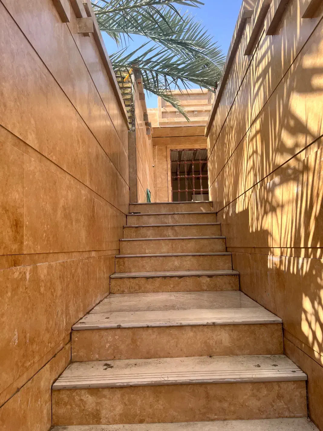 واحد دو خواب نو ساز