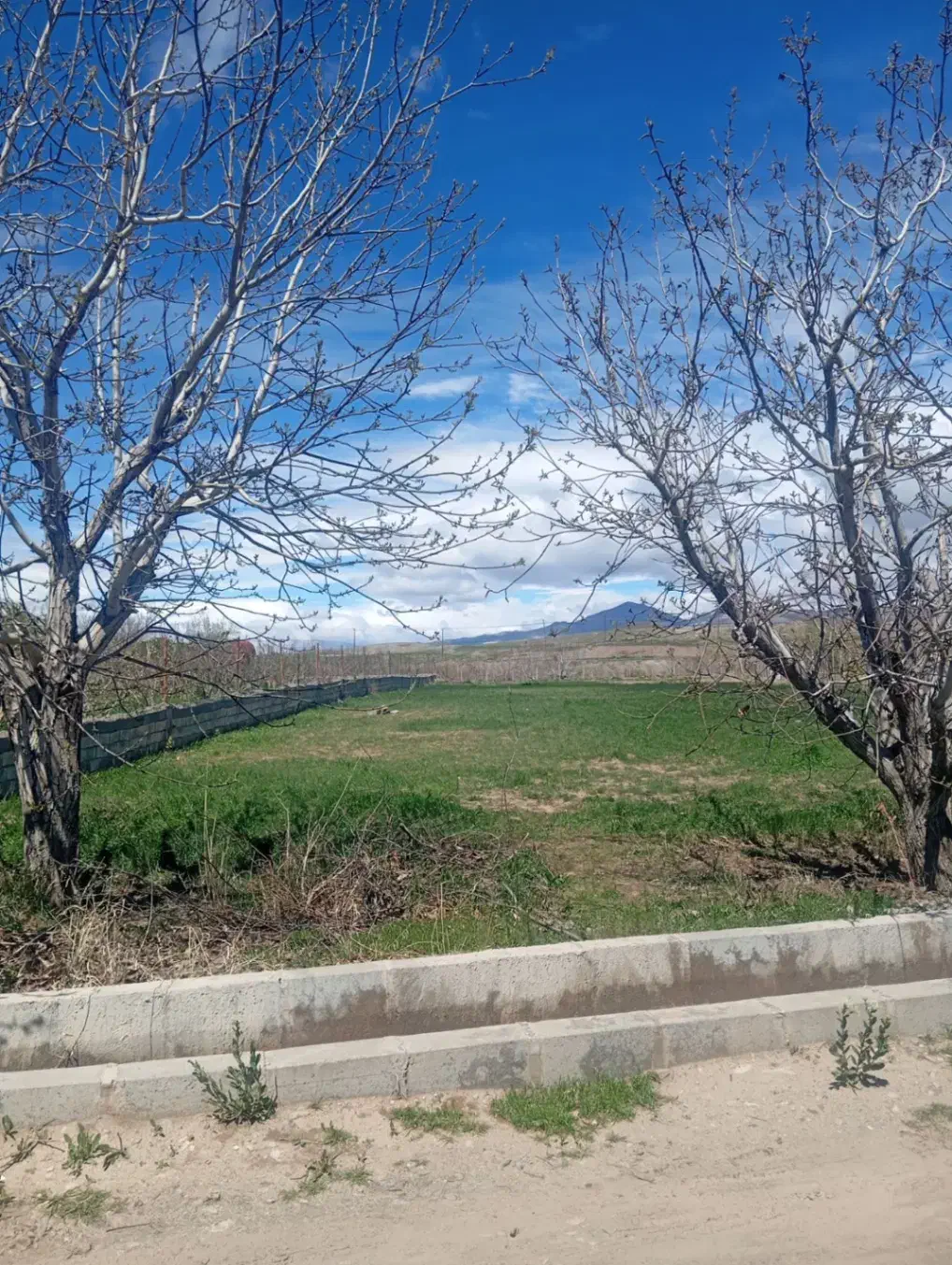 فروش زمین باغی