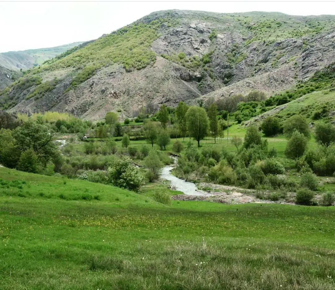 زمین مسکونی وباغی