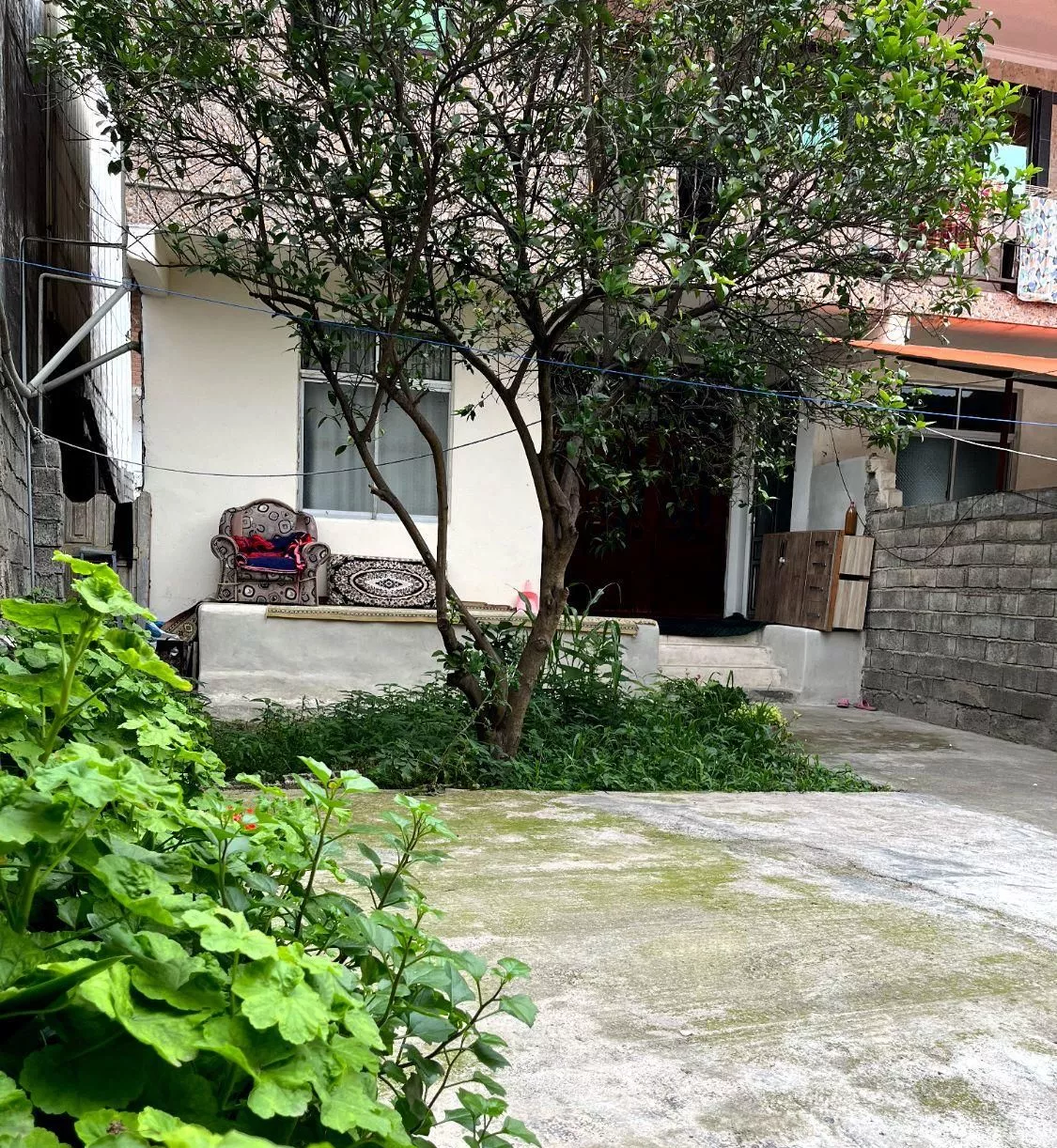 سوییت اجاره ای شیرگاه