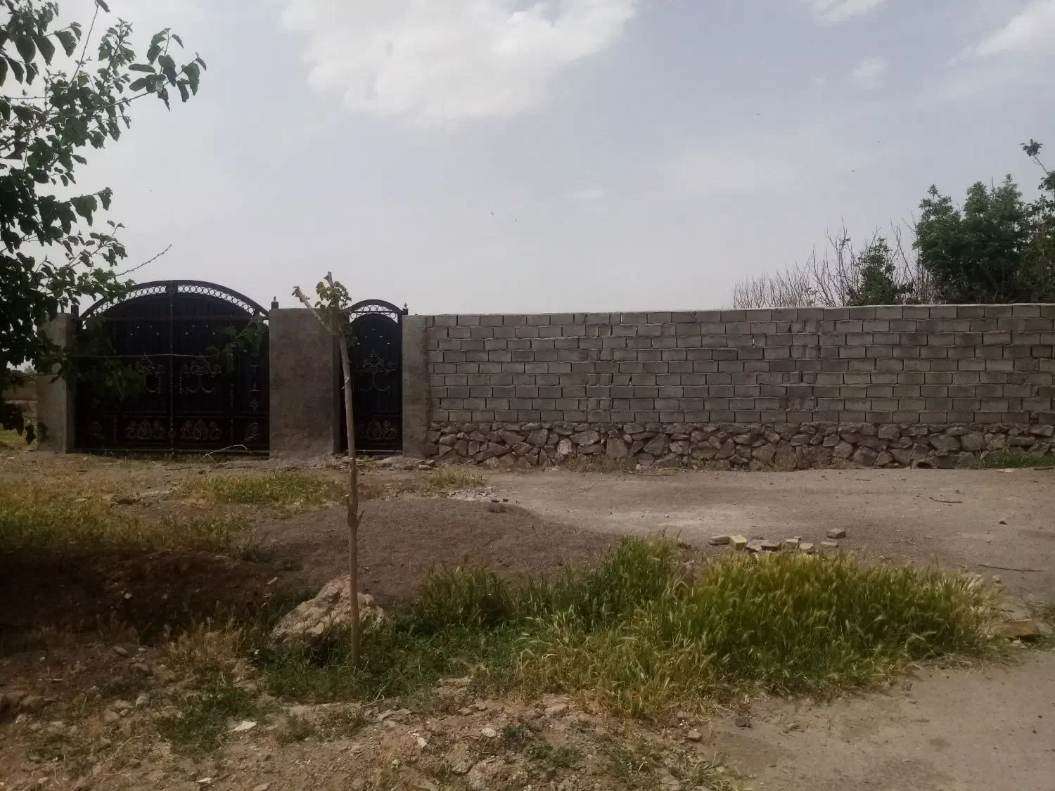 زمین دور دیوار 1000متری