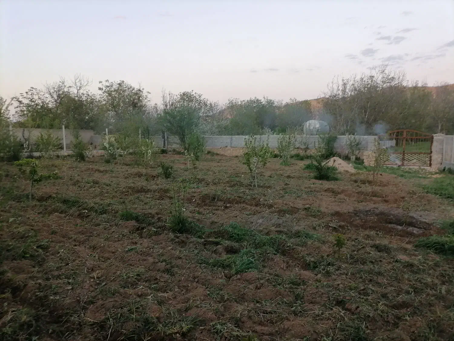 باغ روستای بازخانه حاشیه جاده