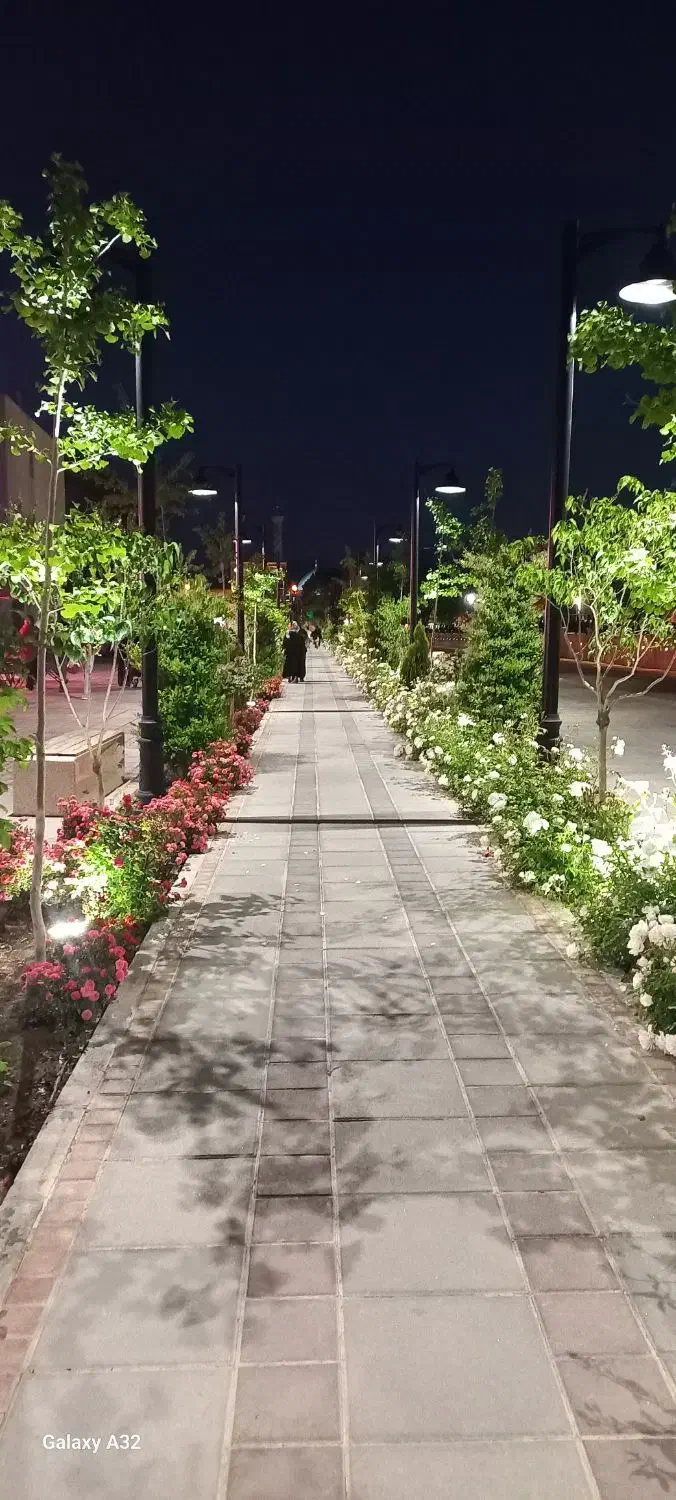 زمین صادقیه