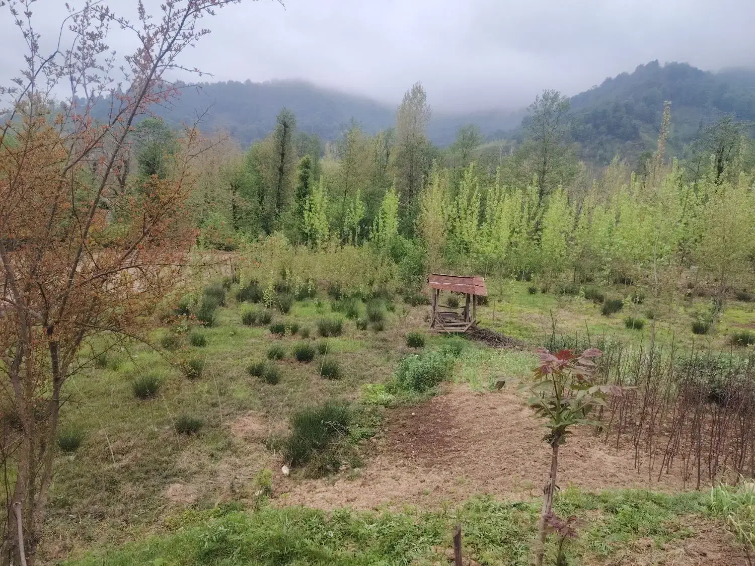 زمین به متراژ 2200 متر