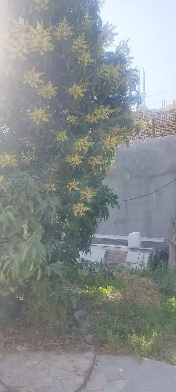منزل تجاری و مسکونی
