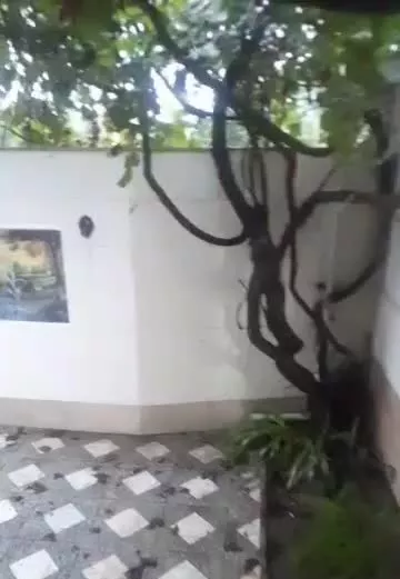 رهن و اجاره منزل ویلایی دوخواب در بابلپشت