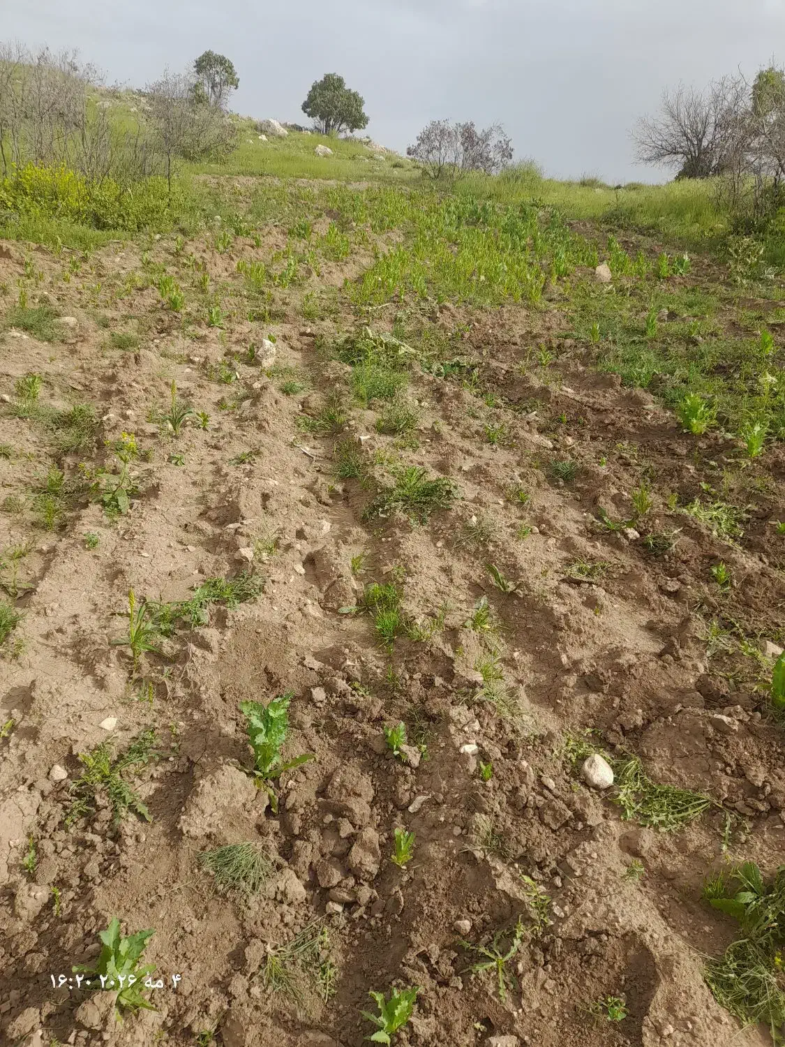 زمین ساختمانی