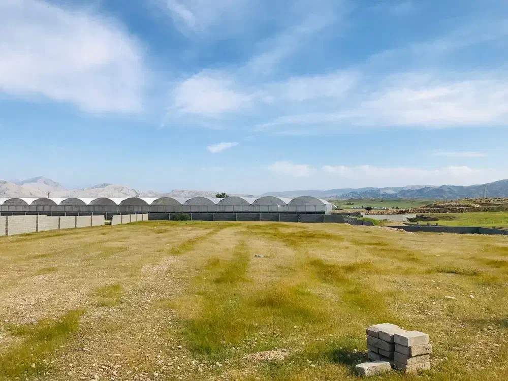 زمین کشاورزی