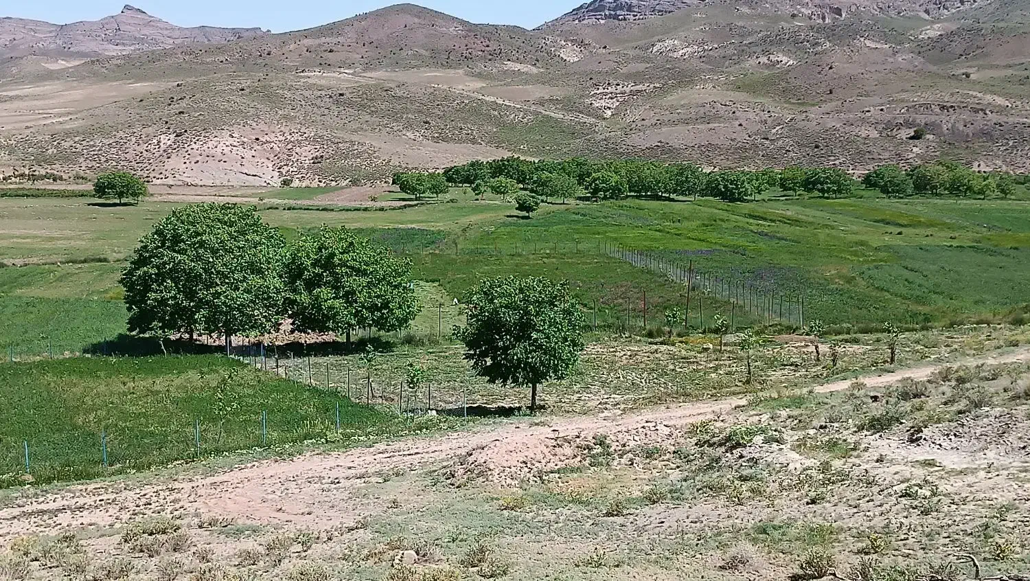 خانه باغ