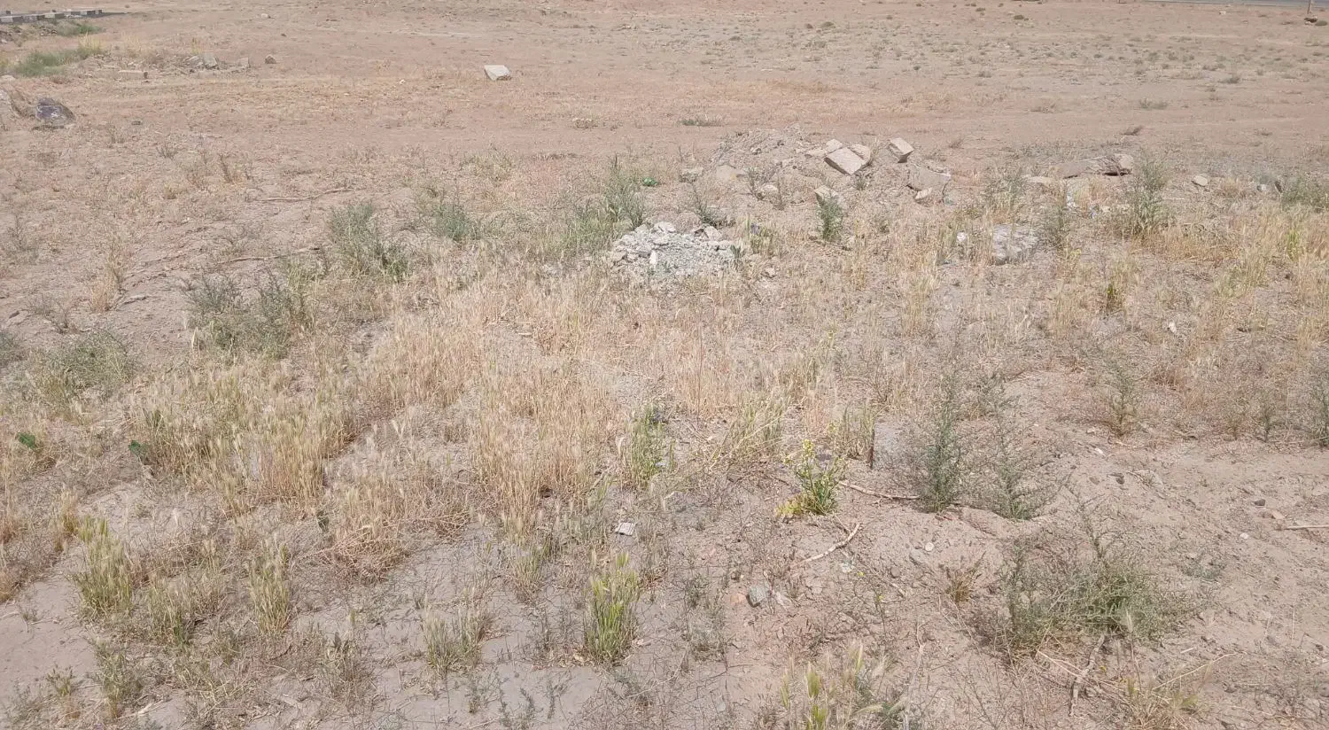 زمین ۷۵۰ متری حاشیه و دونبش