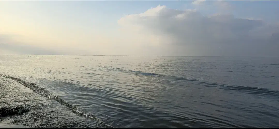 زمین پلاک ۱ جاده و ساحل