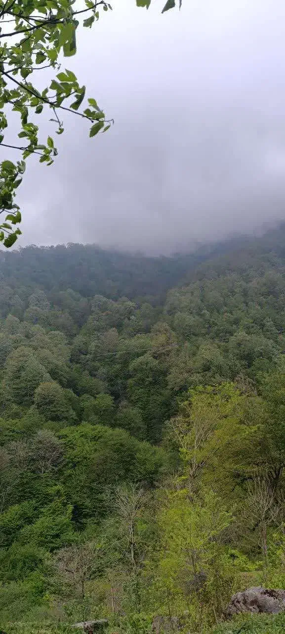 فروش آب و زمین گزک راین