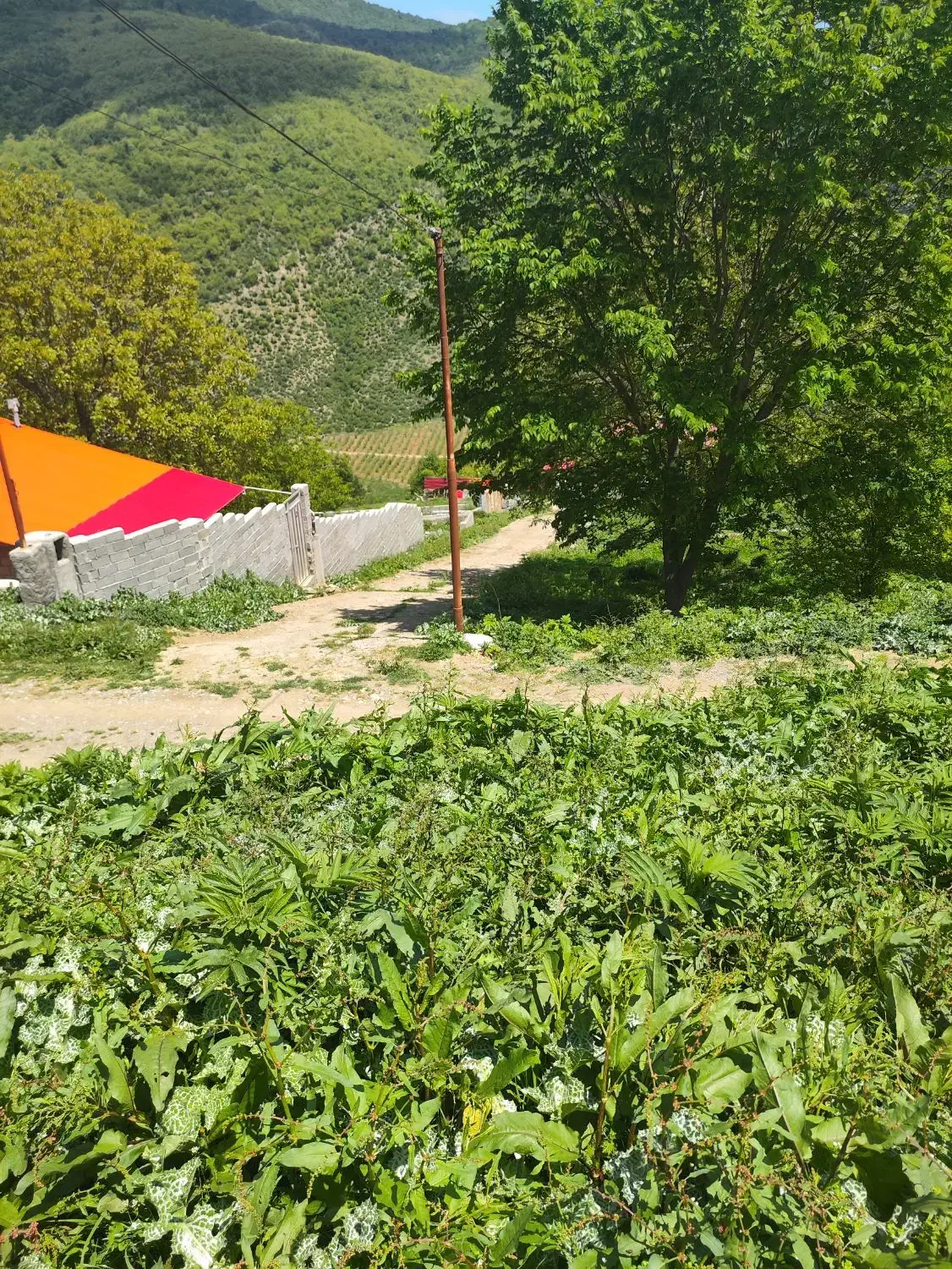 فروش زمین دارای مجوز در منطقه کوهستانی