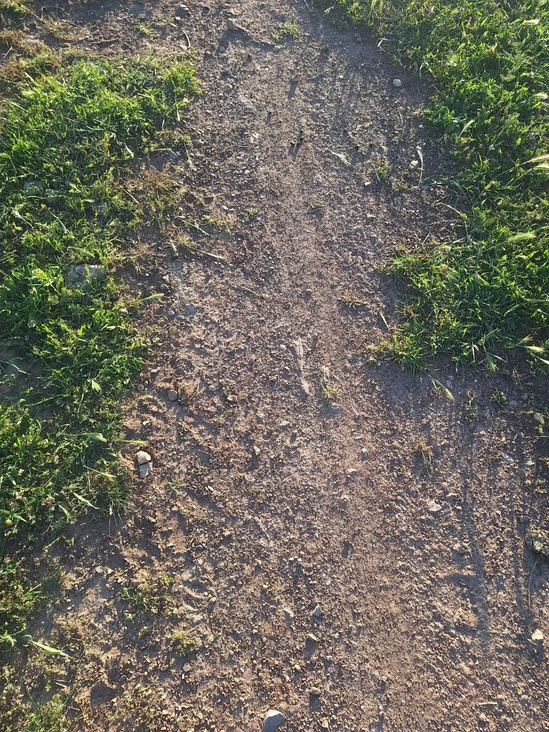 یک قطعه زمین خالی