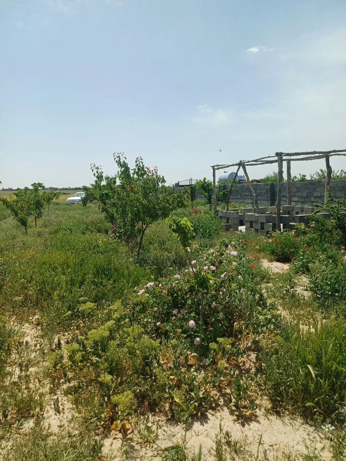 فروش زمین باغی