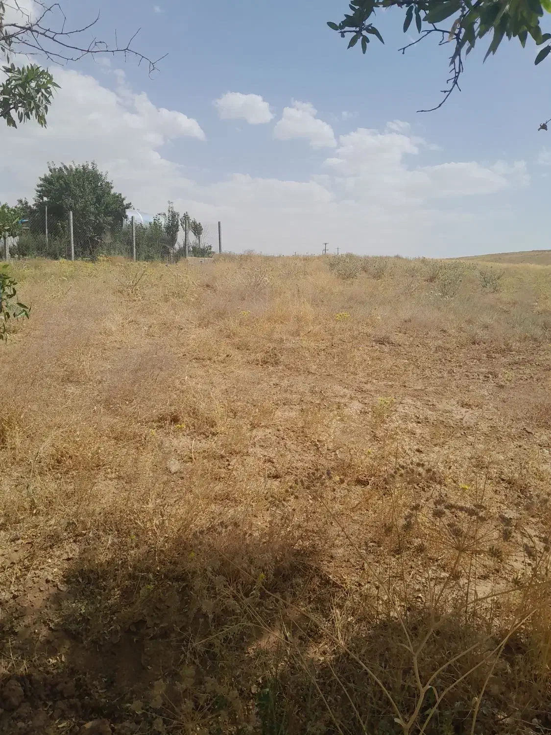 فروش زمین باغی