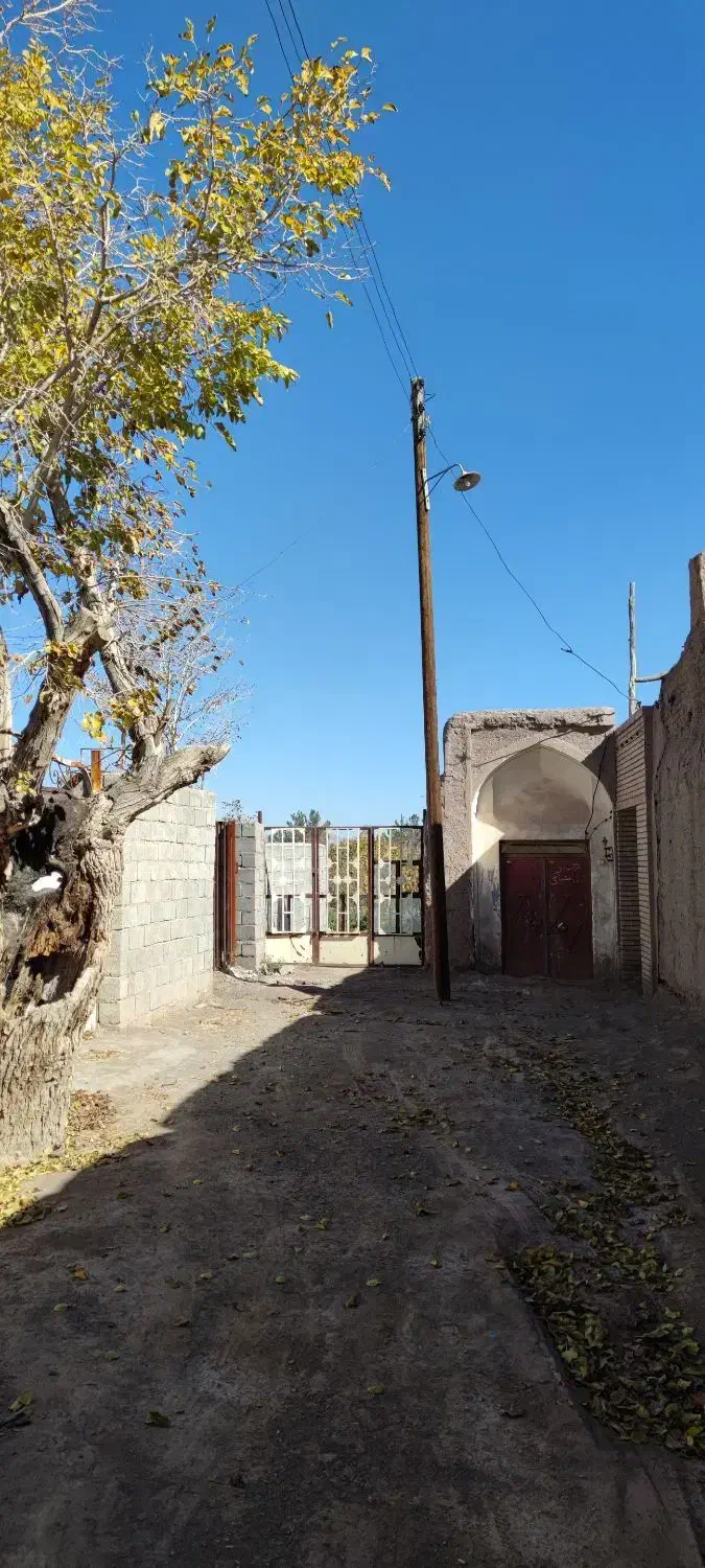 زمین کشاورزی
