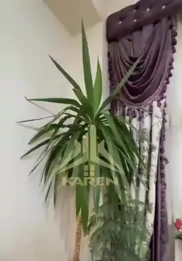 اجاره آپارتمان در فاز ۳سهند