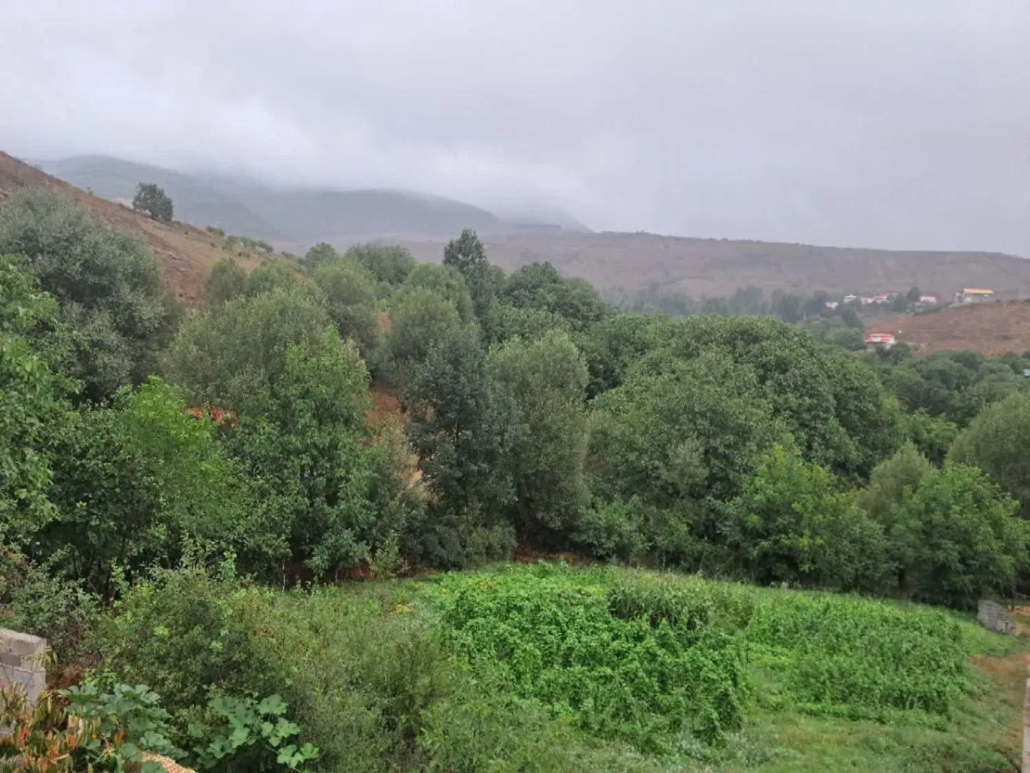 زمین۴۳۰ متری روستایی تمام مسکونی دیلمان سند تک برگ