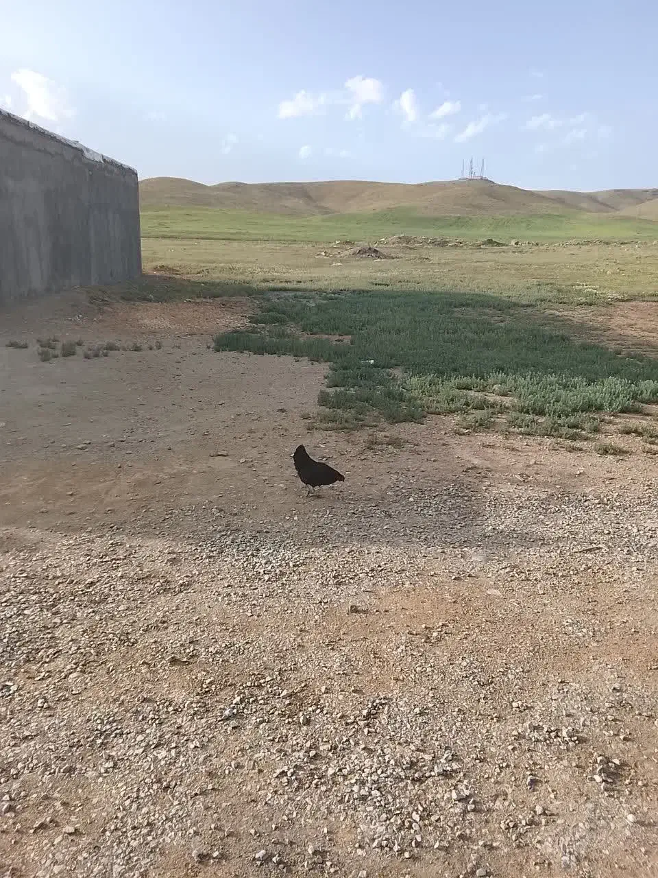 فروش زمین