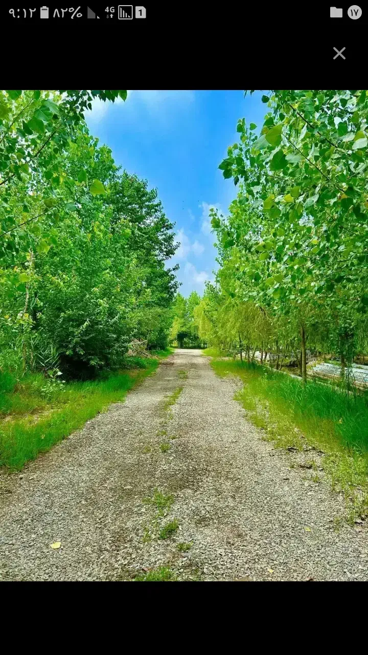 زمین نیک نیا(شهرک قمربنی هاشم)