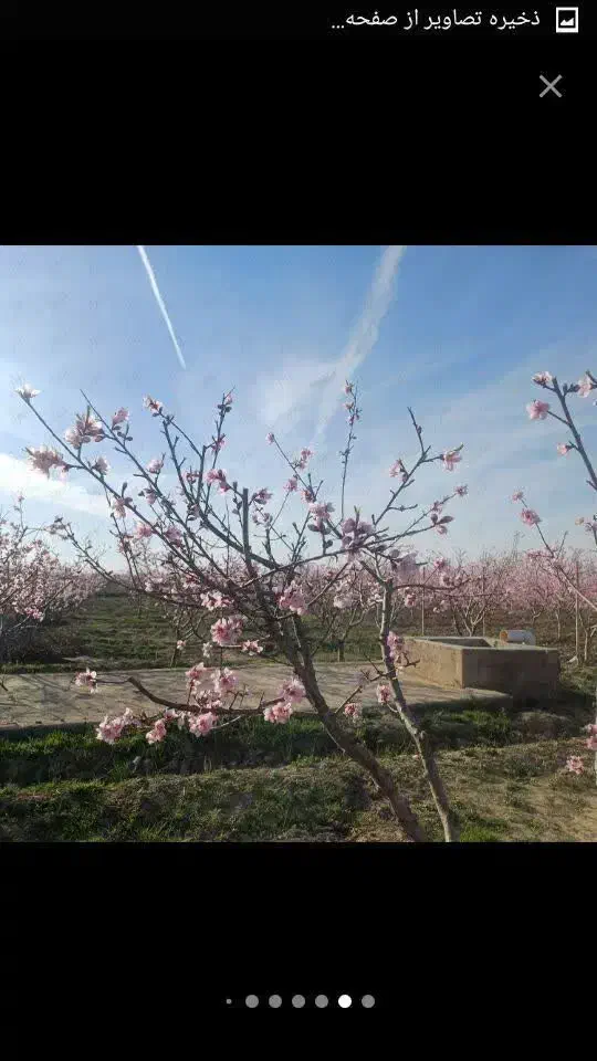 فروش باغچه ۵۰۰متری