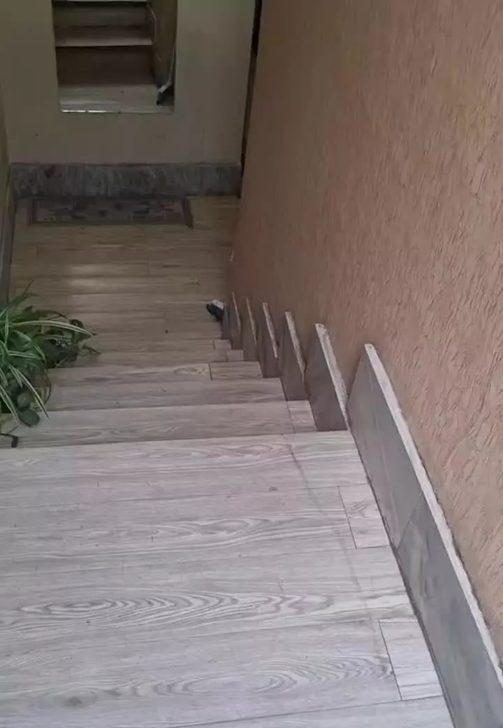 فروش ملک