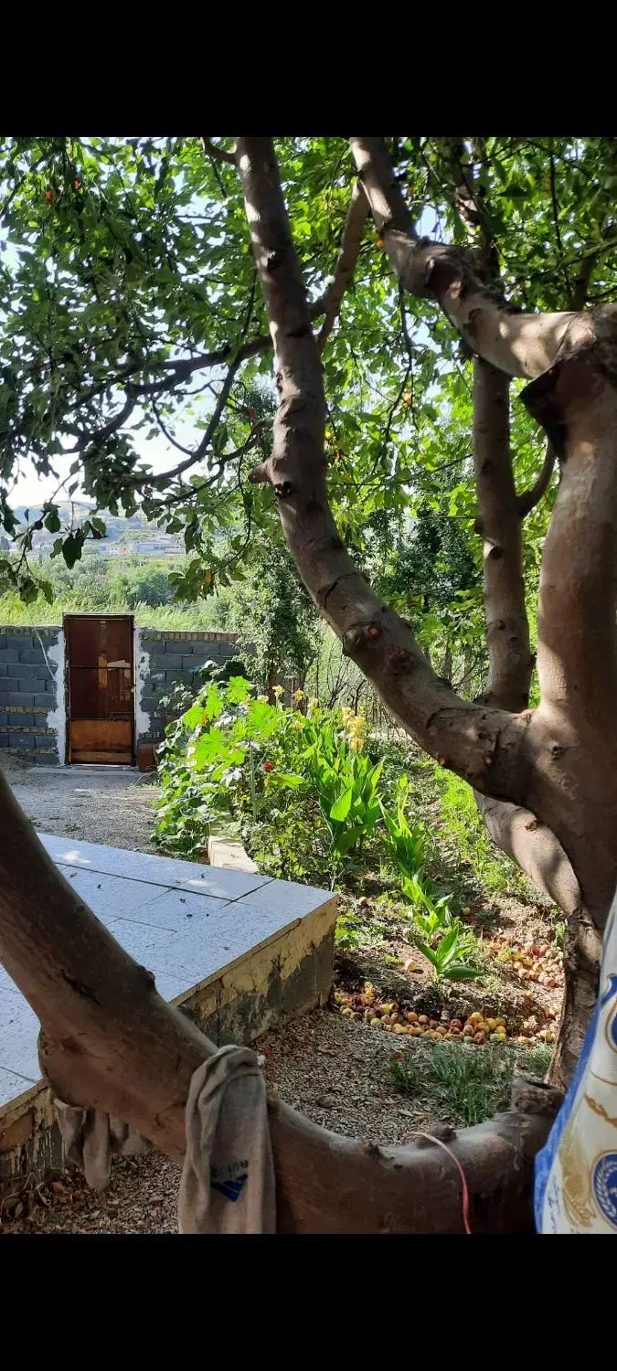 همخونه برای باغ