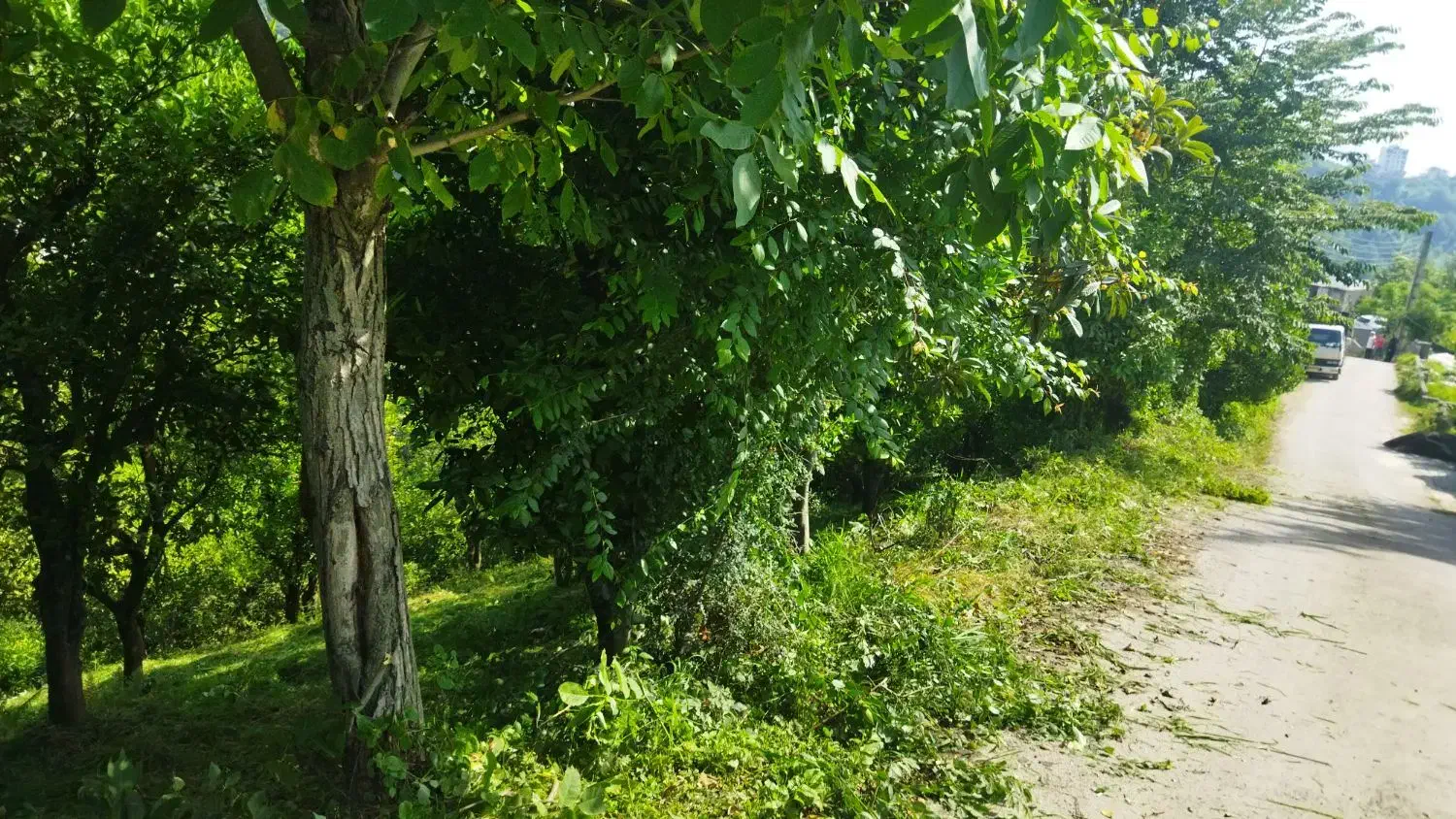 فروش زمین در روستای‌لرسانور توریستی و گردشگری‌