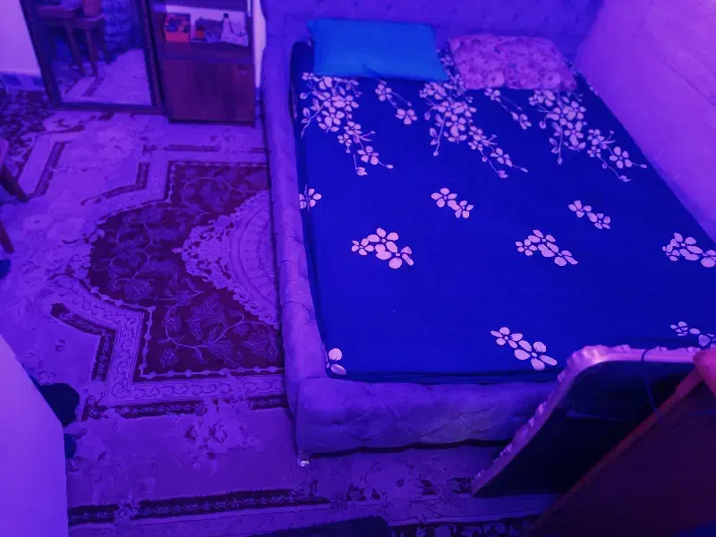 اجاره ساعتی سوییت