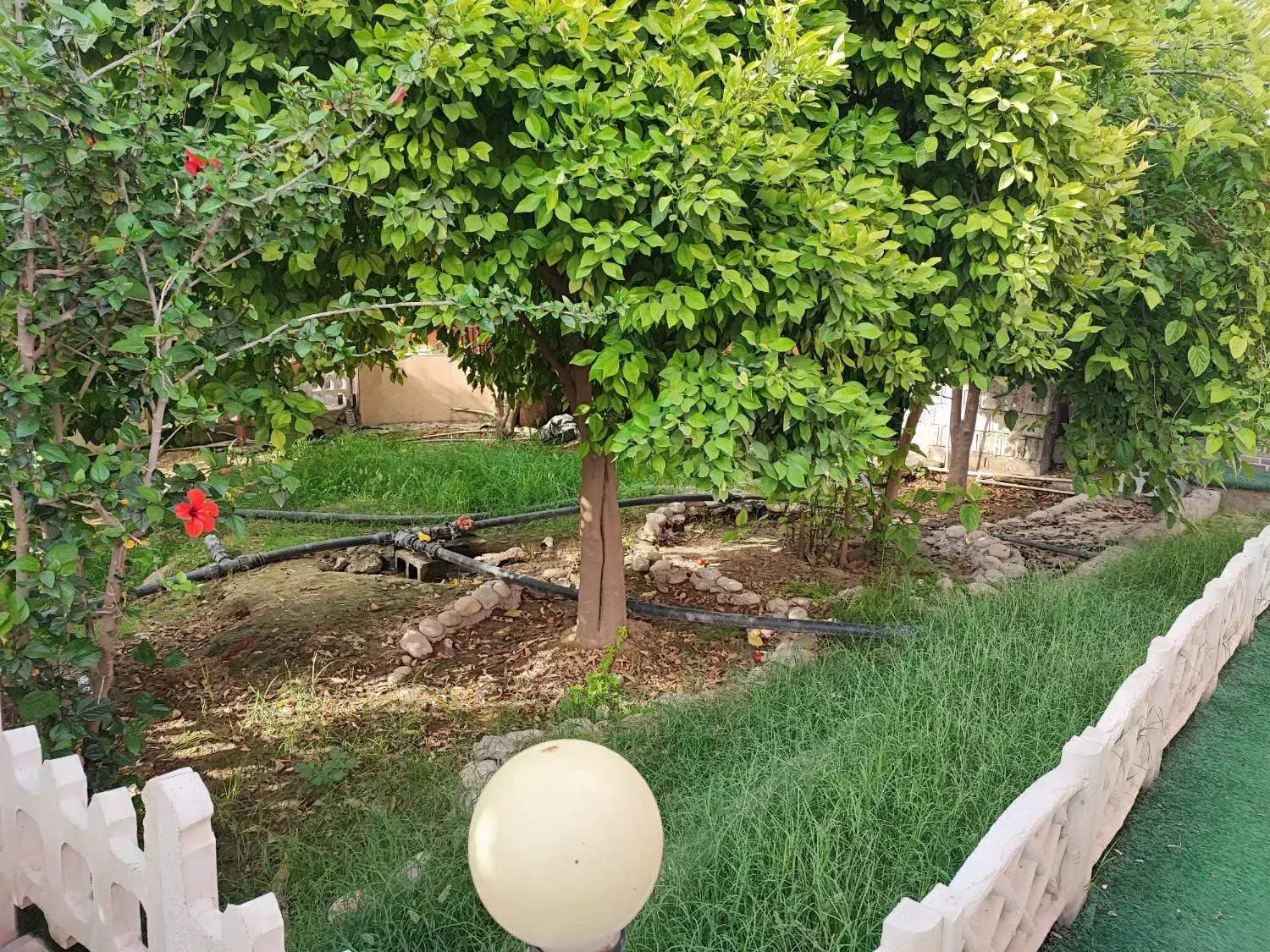اجاره ویلا باغ