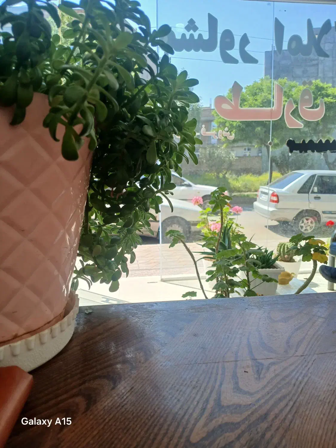 تجاری مسکونی ۵در ۲۰در کمربندی
