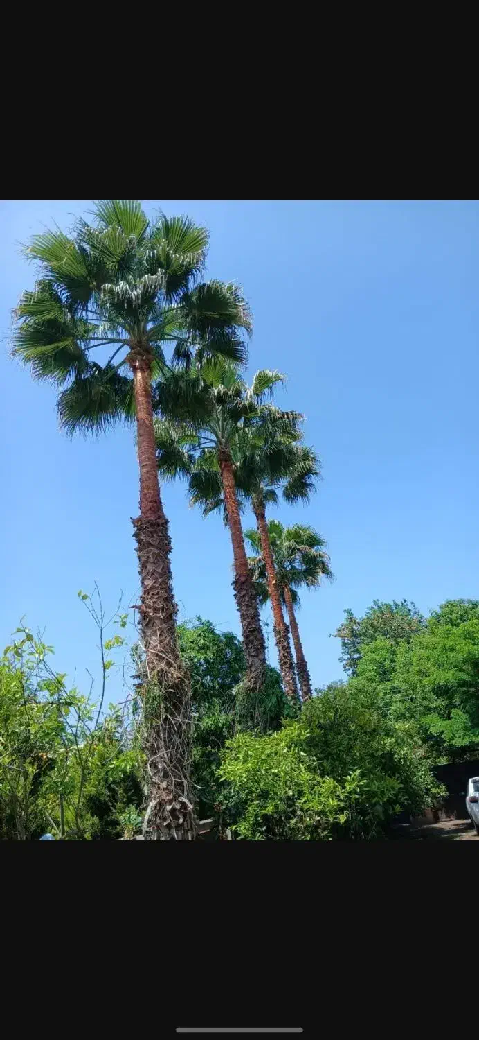 فروش خانه و ویلا باغ