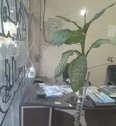 یک دهنه مغازه اجاره داده می شود