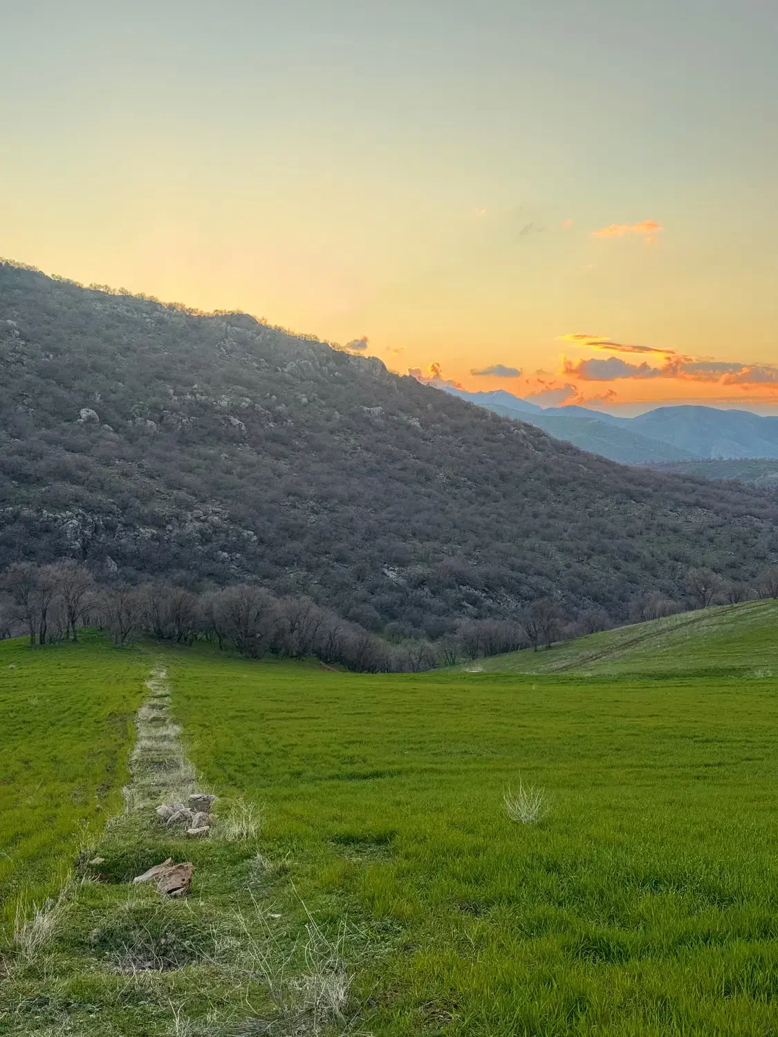 زمین کشاورزی