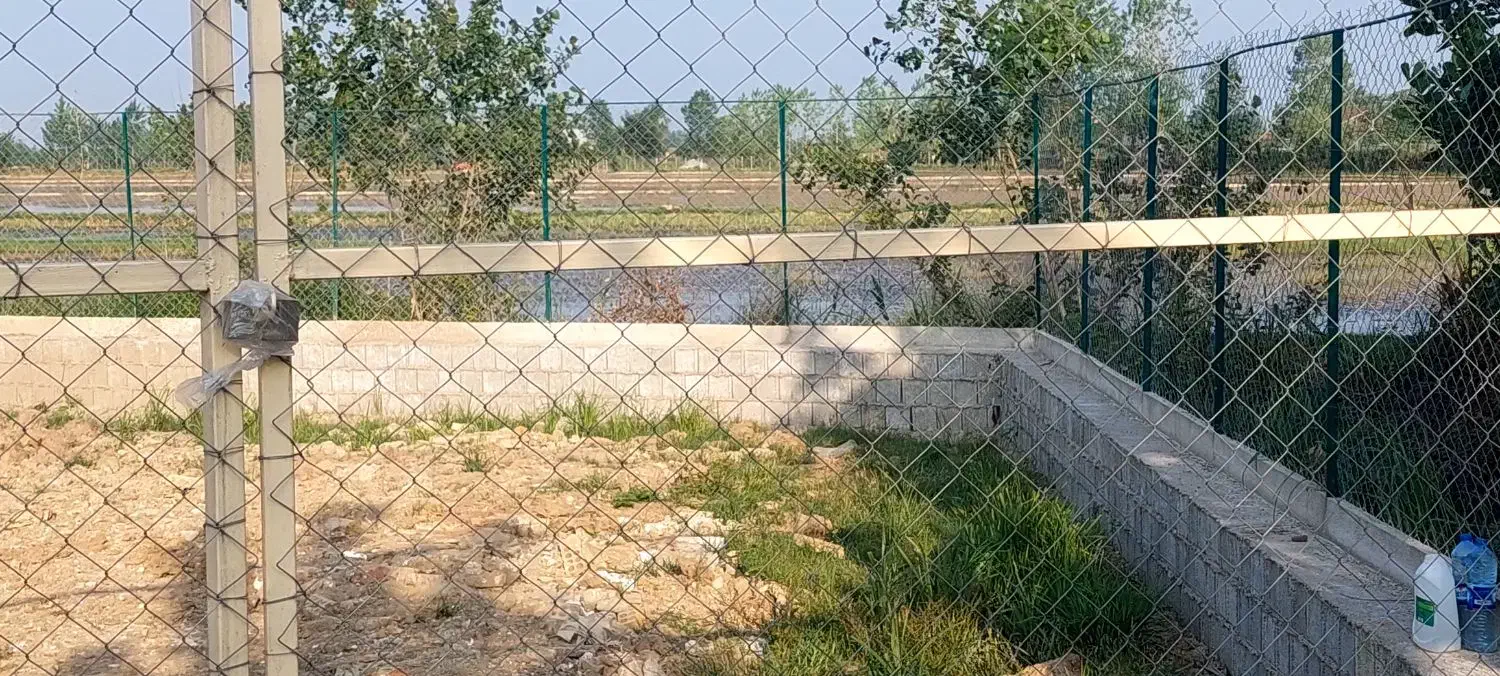 زمین شالیزار2650