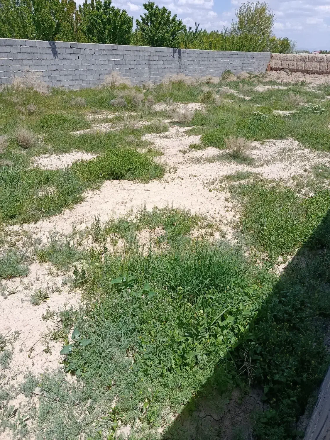 فروش یک قطعه زمین ویلایی در وایقان