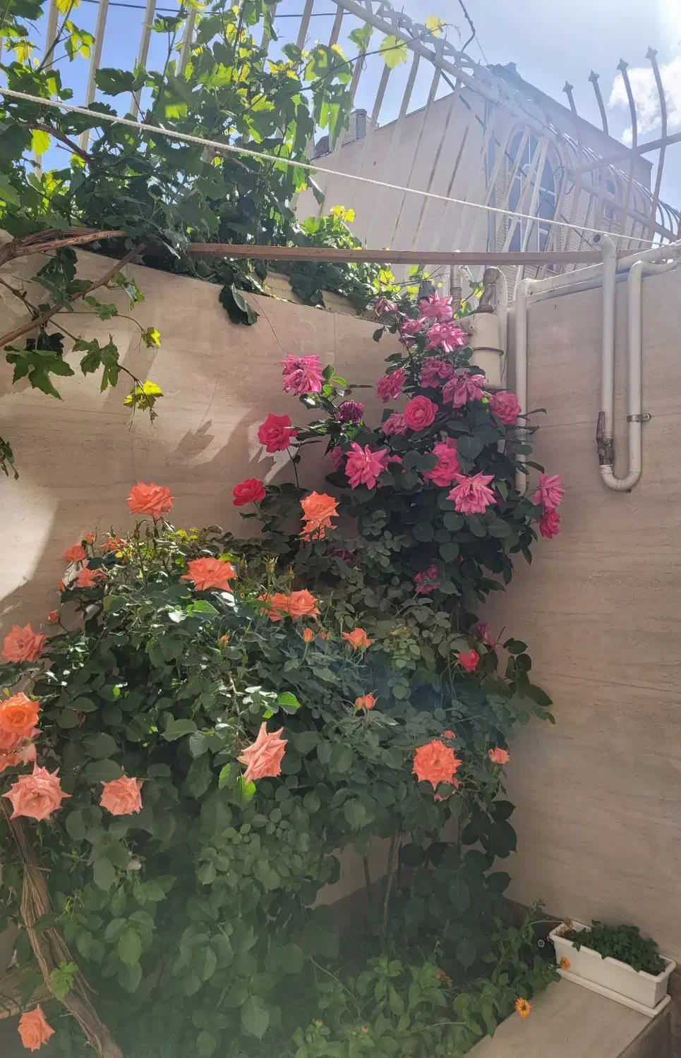 اجاره خانه دو خوابه طبقه اول