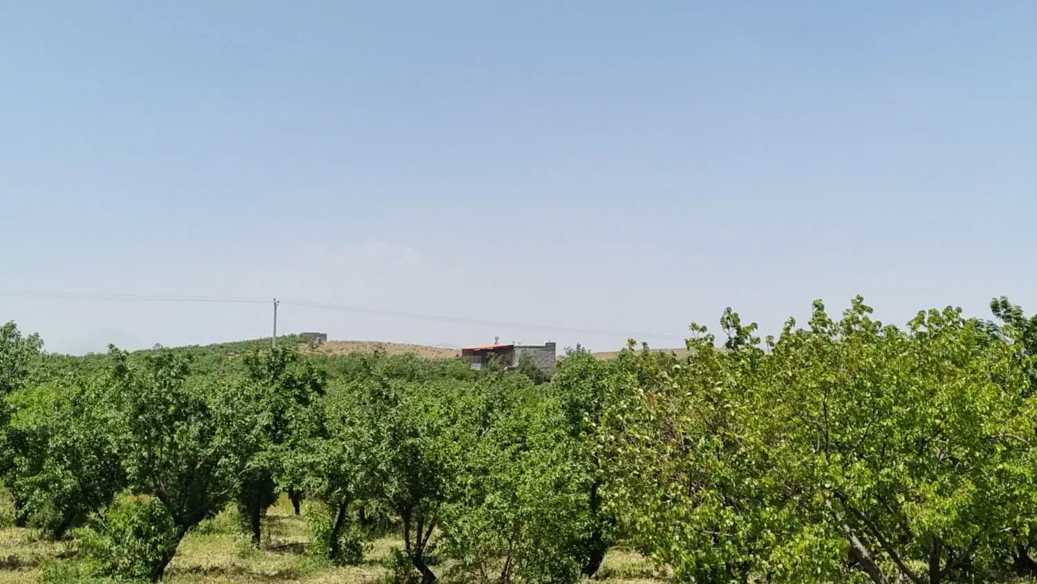 فروش زمین کشاورزی