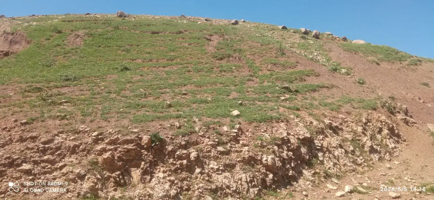 زمین مسکونی سرود علیا