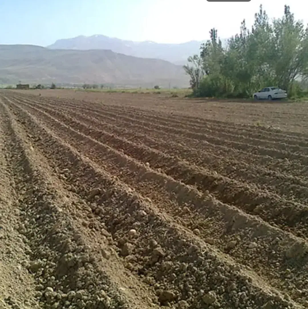 فروش زمین مسکونی به صورت خام به متراژ حدود ۱۰۸۲متر