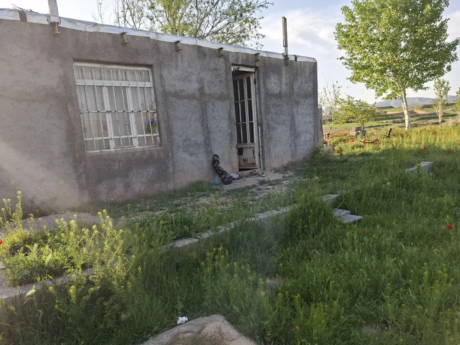 فروش یک هکتار باغ میوه و زمین کشاورزی