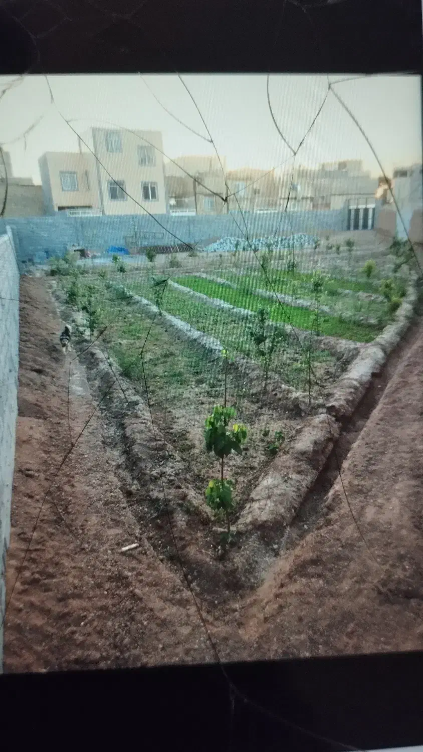 باغ