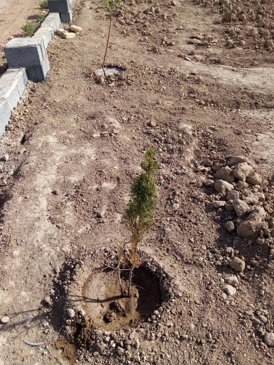 زمین اصفهان