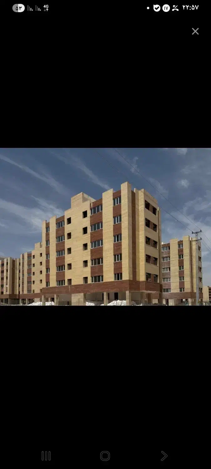 زیتون ۳۵