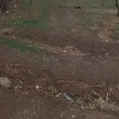 ۳۰ قصب زمین در روستای بید خواب به فروش می‌رسد