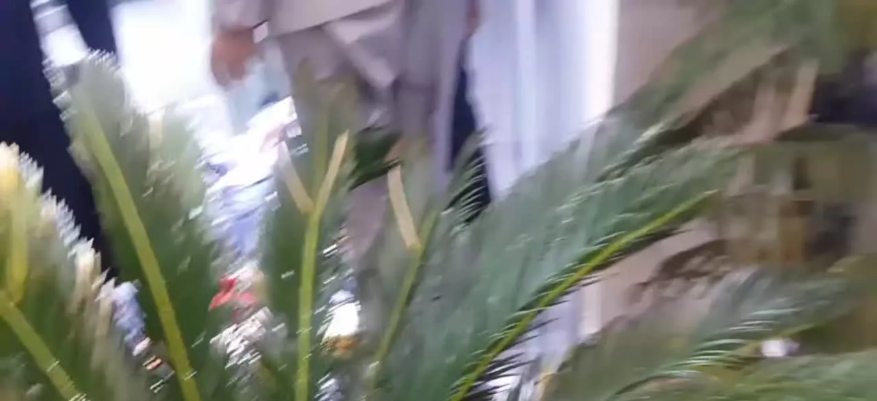 فروش مغازه