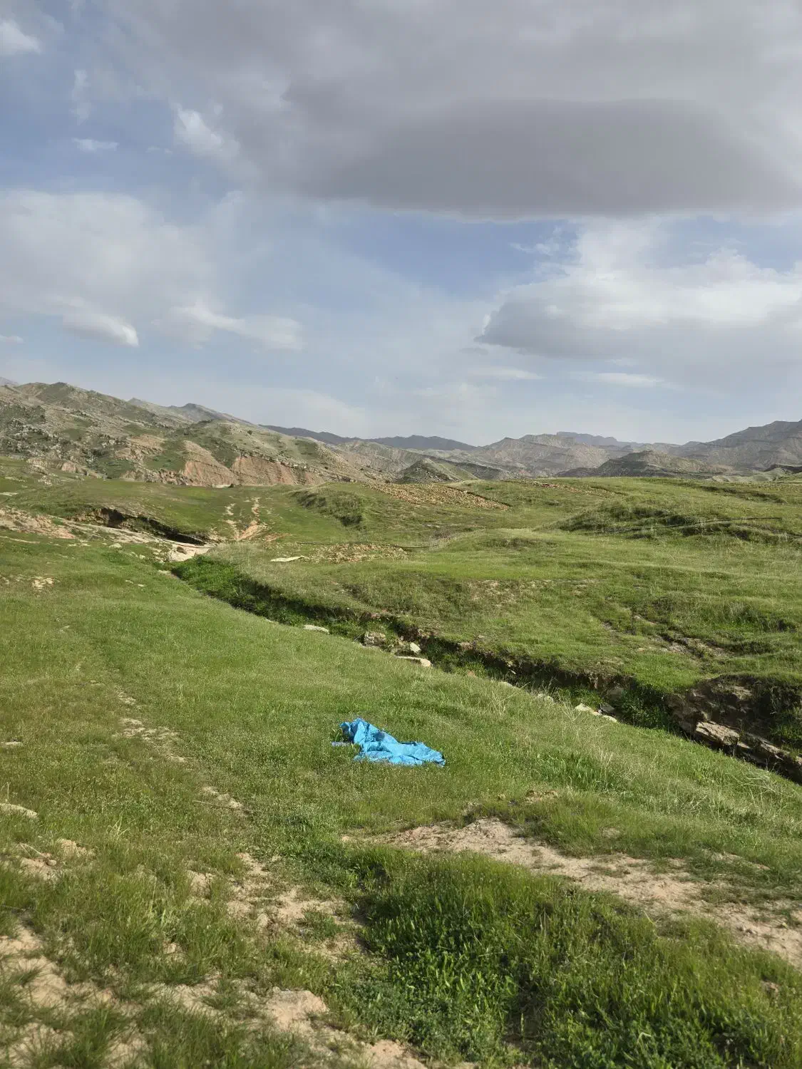 زمین