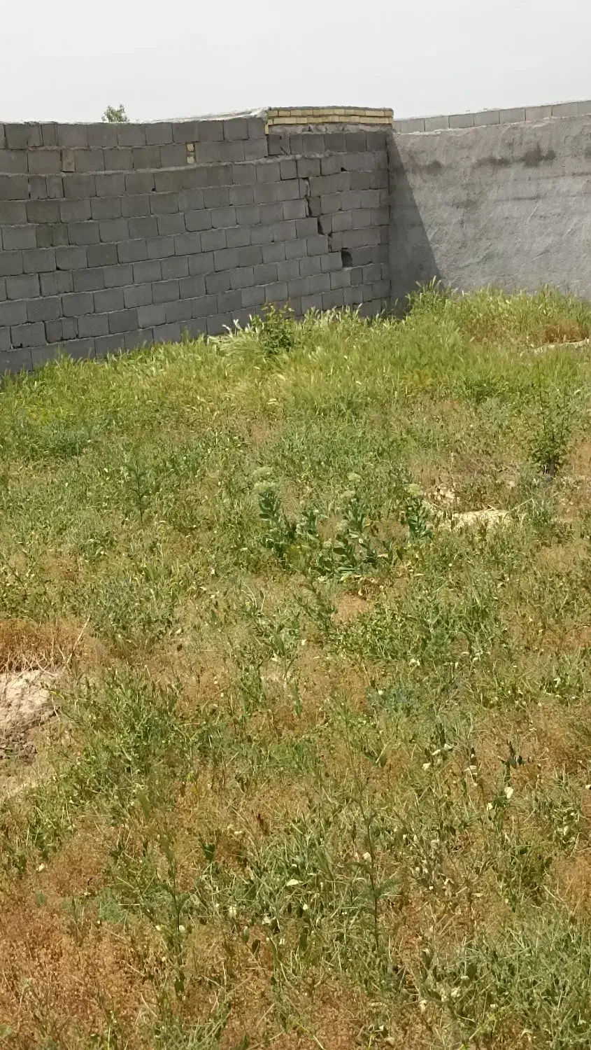 زمین دور دیوار با برق.درب ماشین رو .درختکاری